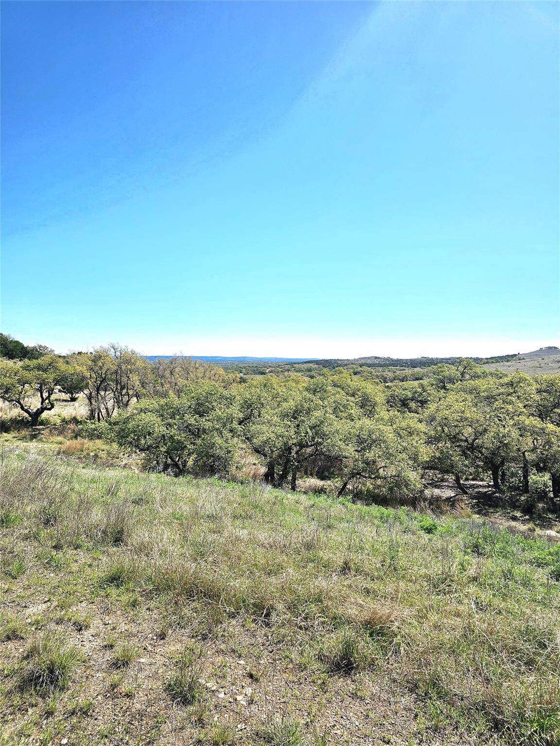 Blanco, TX 78606,292 N Scenic Hills CT