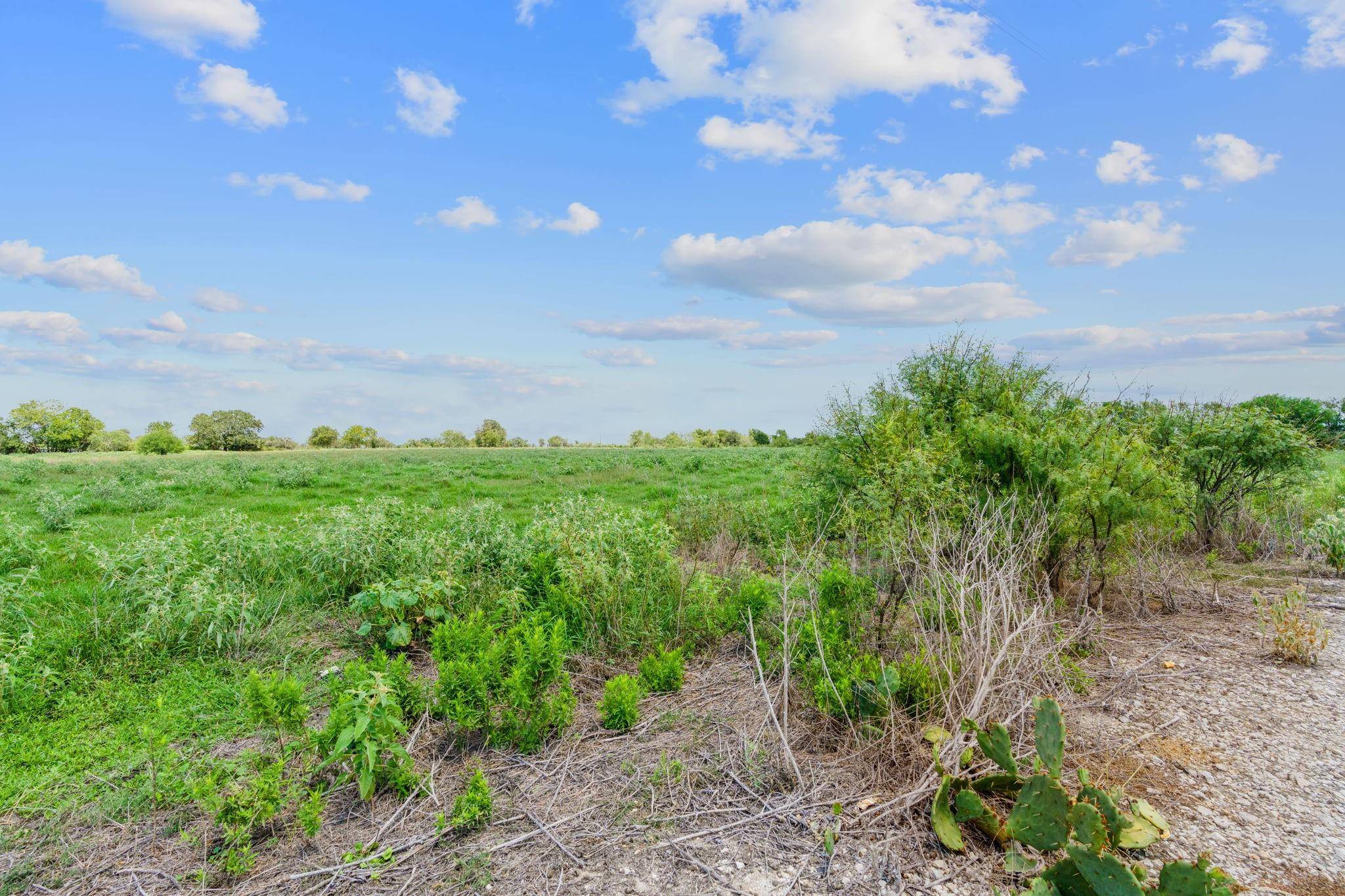 Flatonia, TX 78632,Lot 18 County Road 402