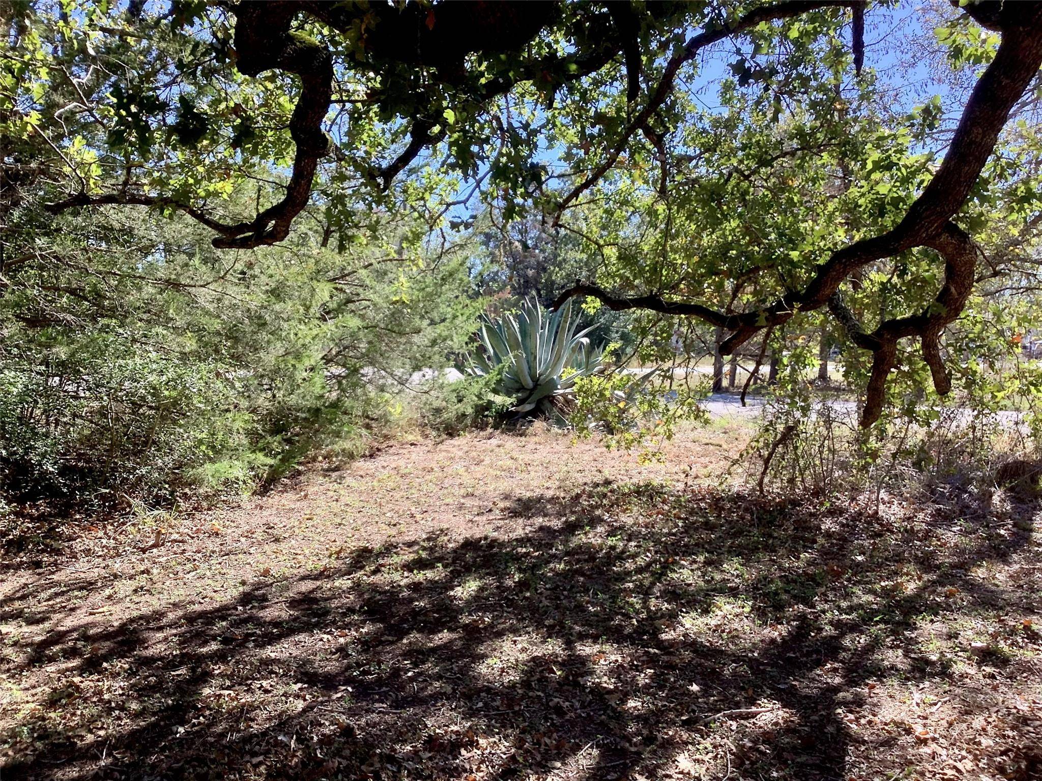 Smithville, TX 78957,Lot 87&88 Wigwam ST