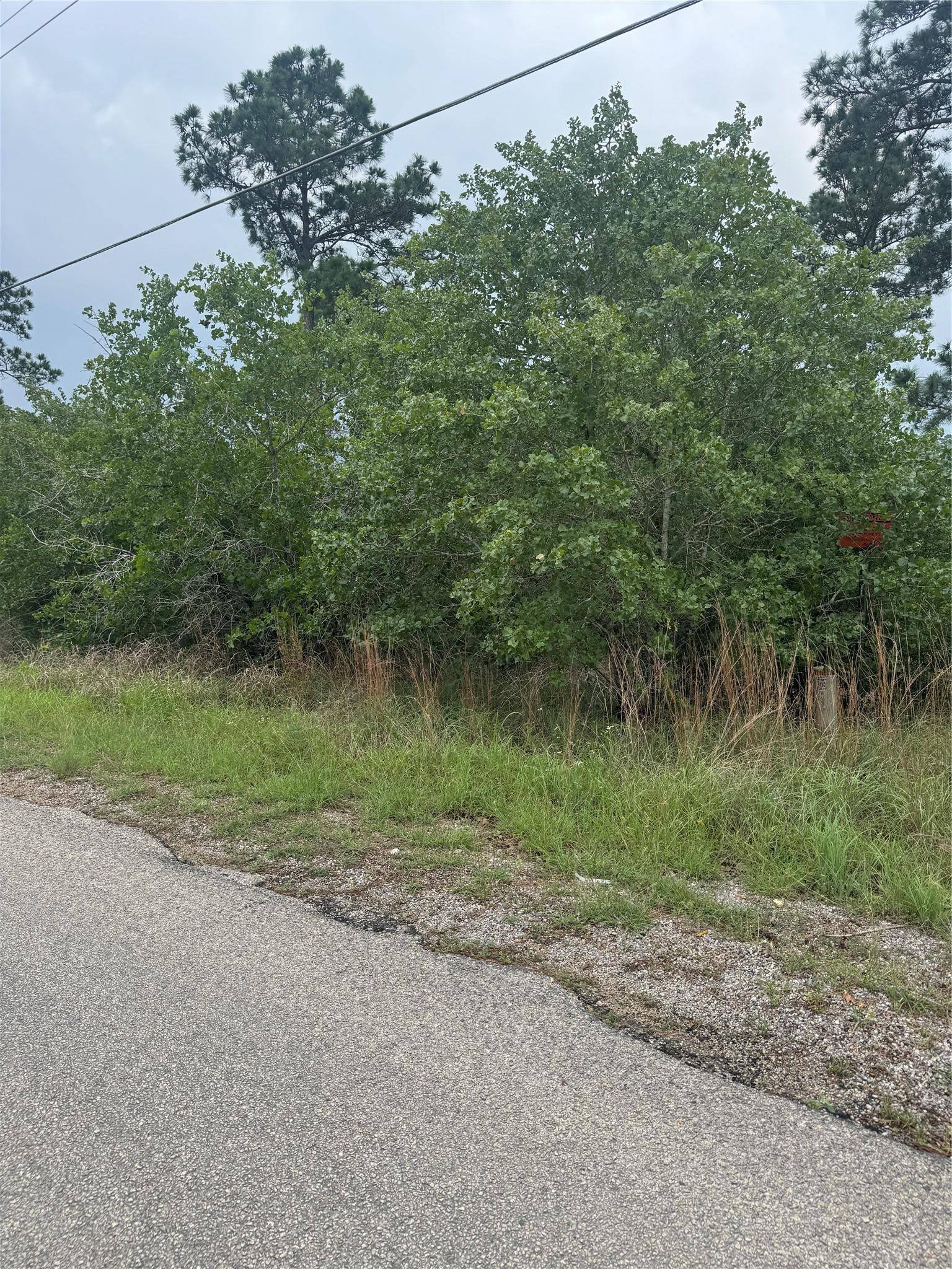 Bastrop, TX 78602,Lot 1613 Kaanapali LN