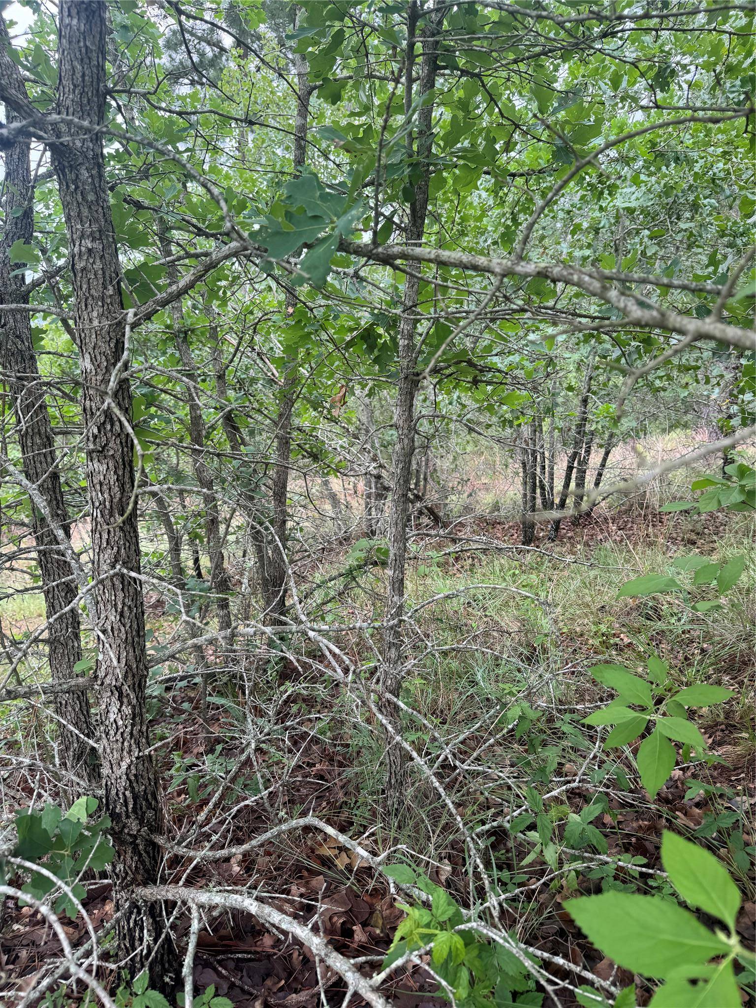 Bastrop, TX 78602,Lot 1613 Kaanapali LN