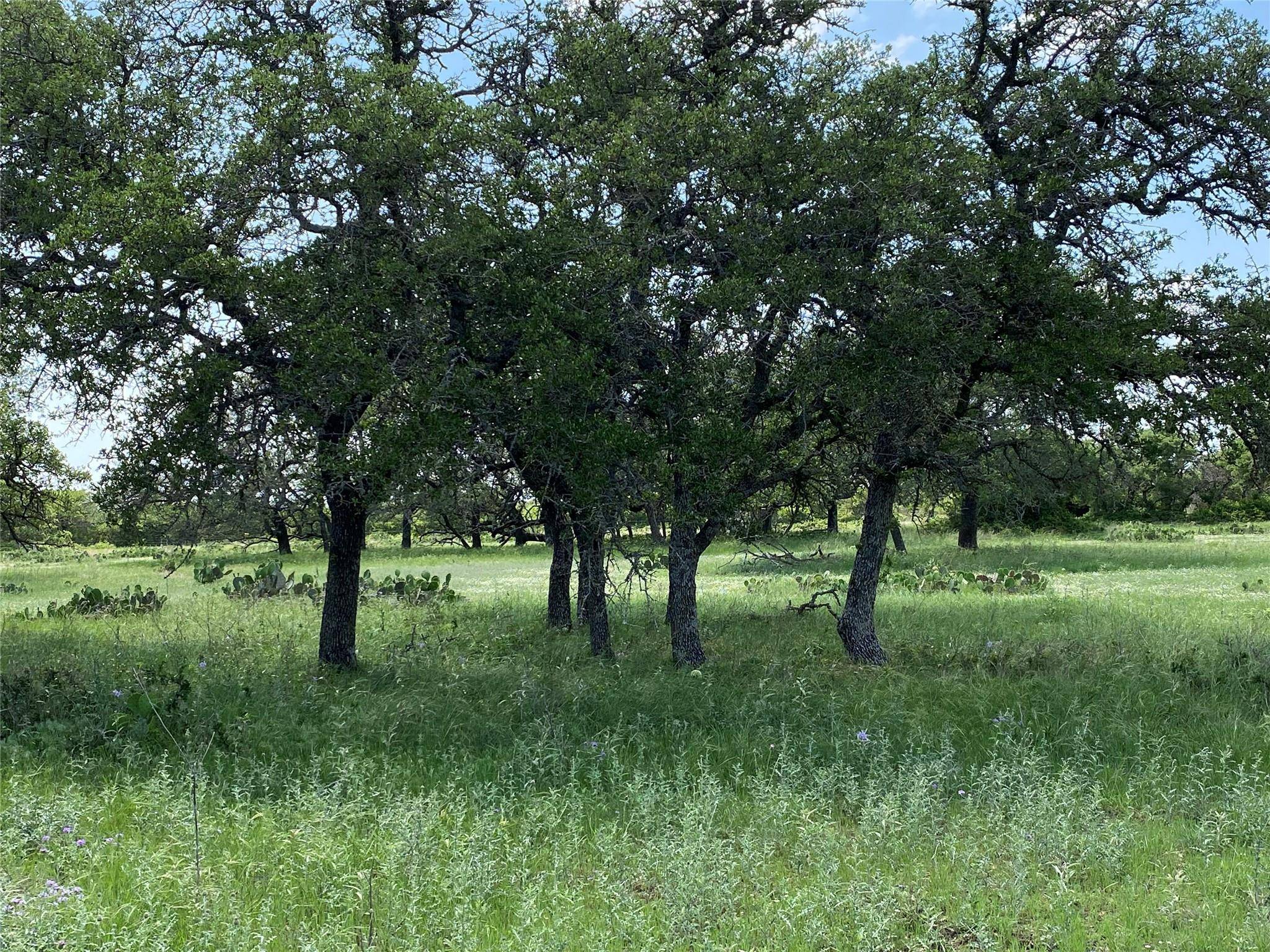 Goldthwaite, TX 76844,380 CR 262