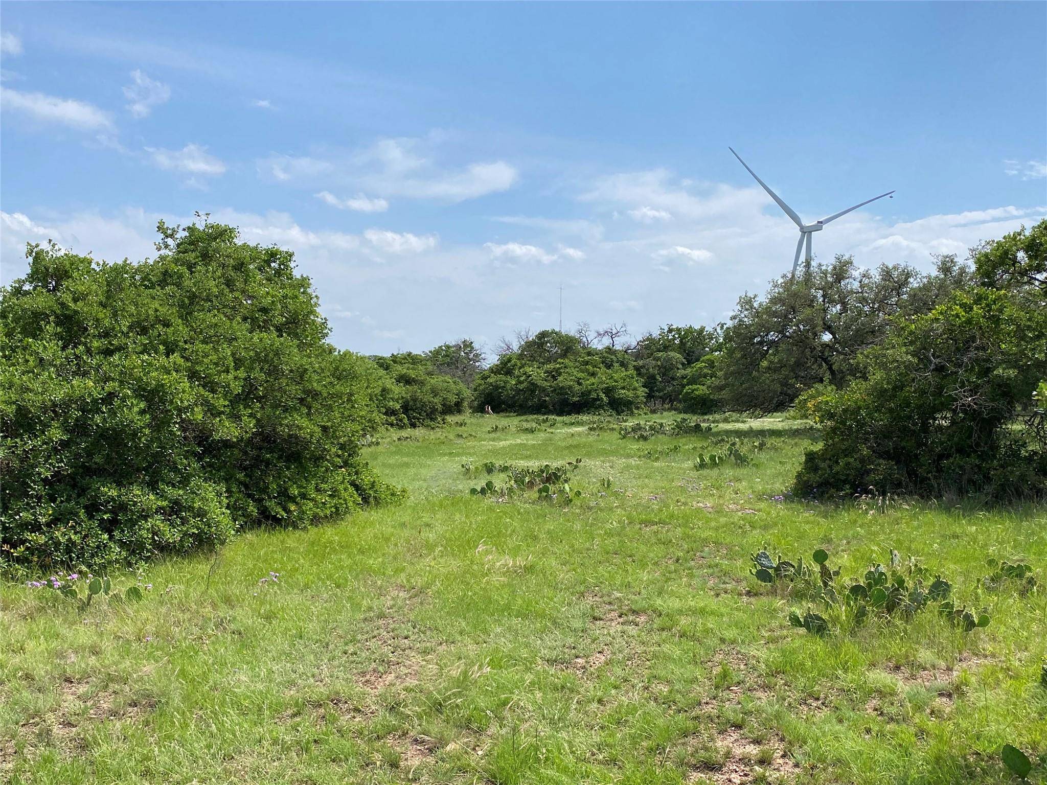 Goldthwaite, TX 76844,380 CR 262