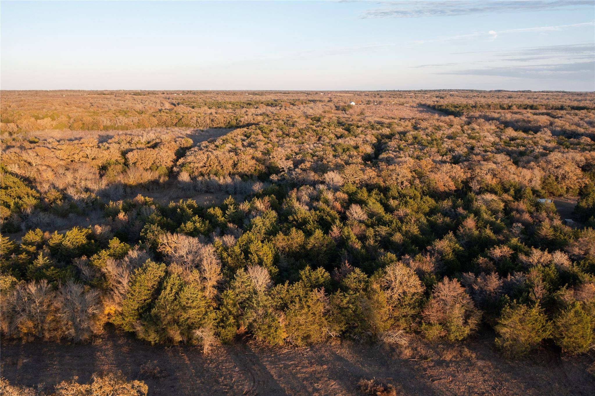 Paige, TX 78659,000 TBD 17+/- Ac Grassyville RD