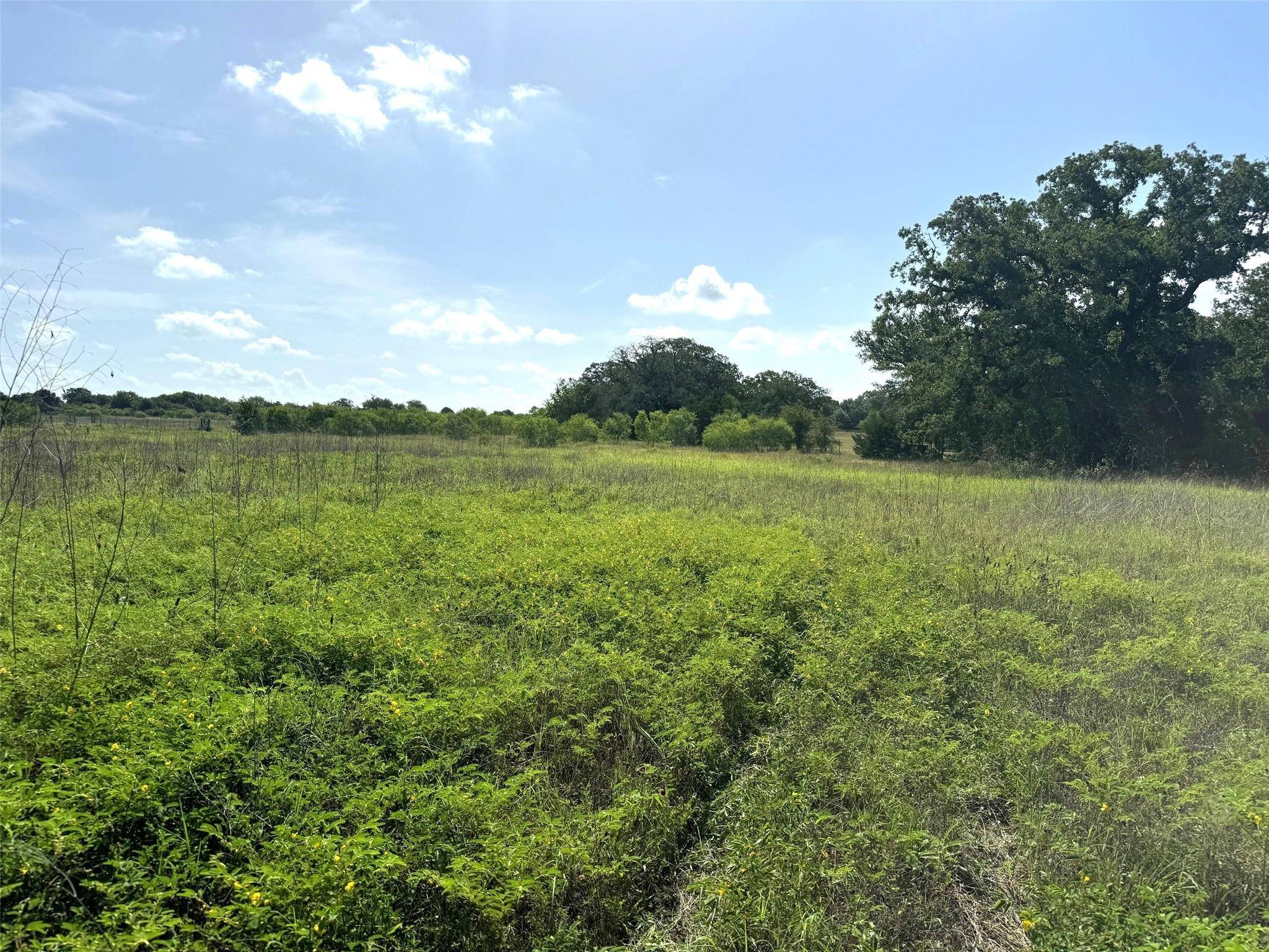 Lockhart, TX 78644,0000B FM 713