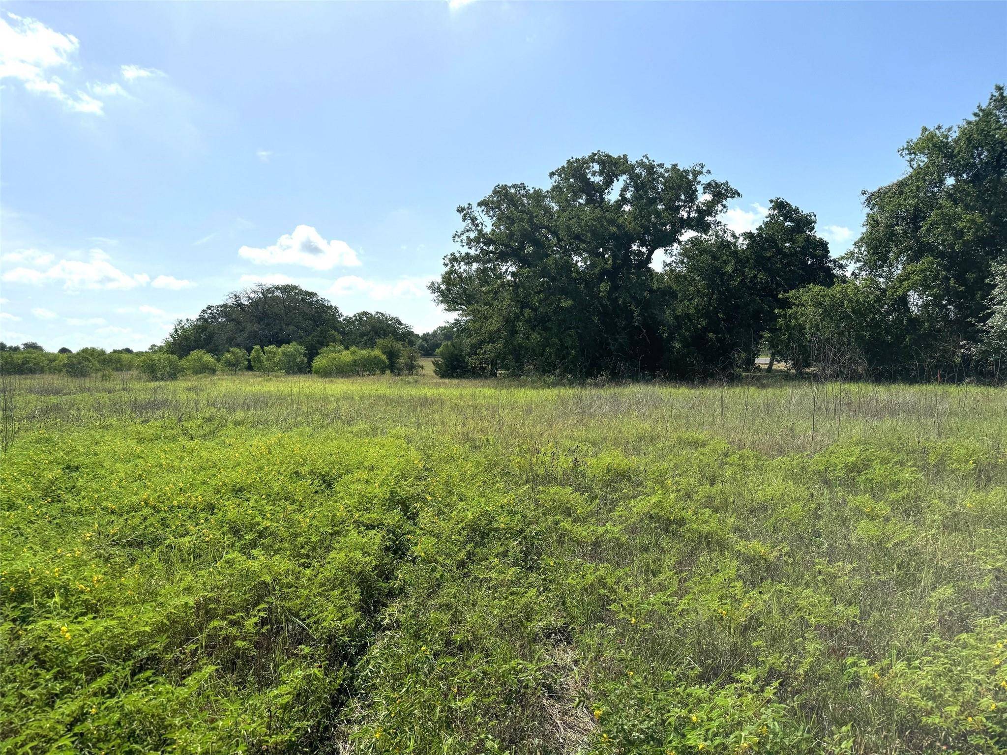 Lockhart, TX 78644,0000B FM 713