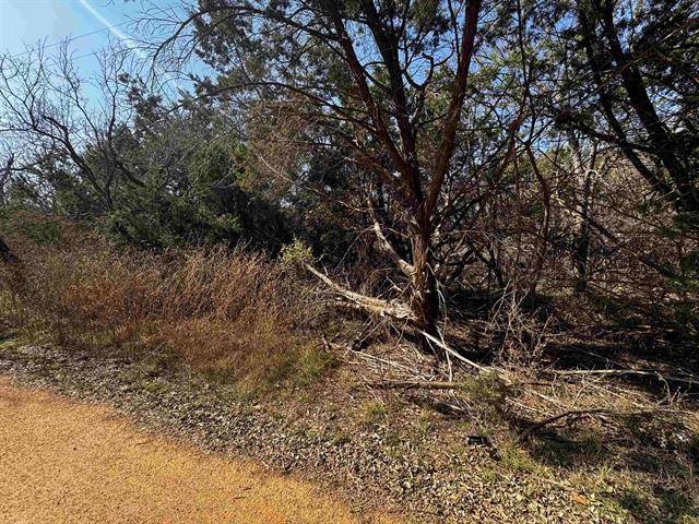 Burnet, TX 78611,Lot 12 Longhorn DR