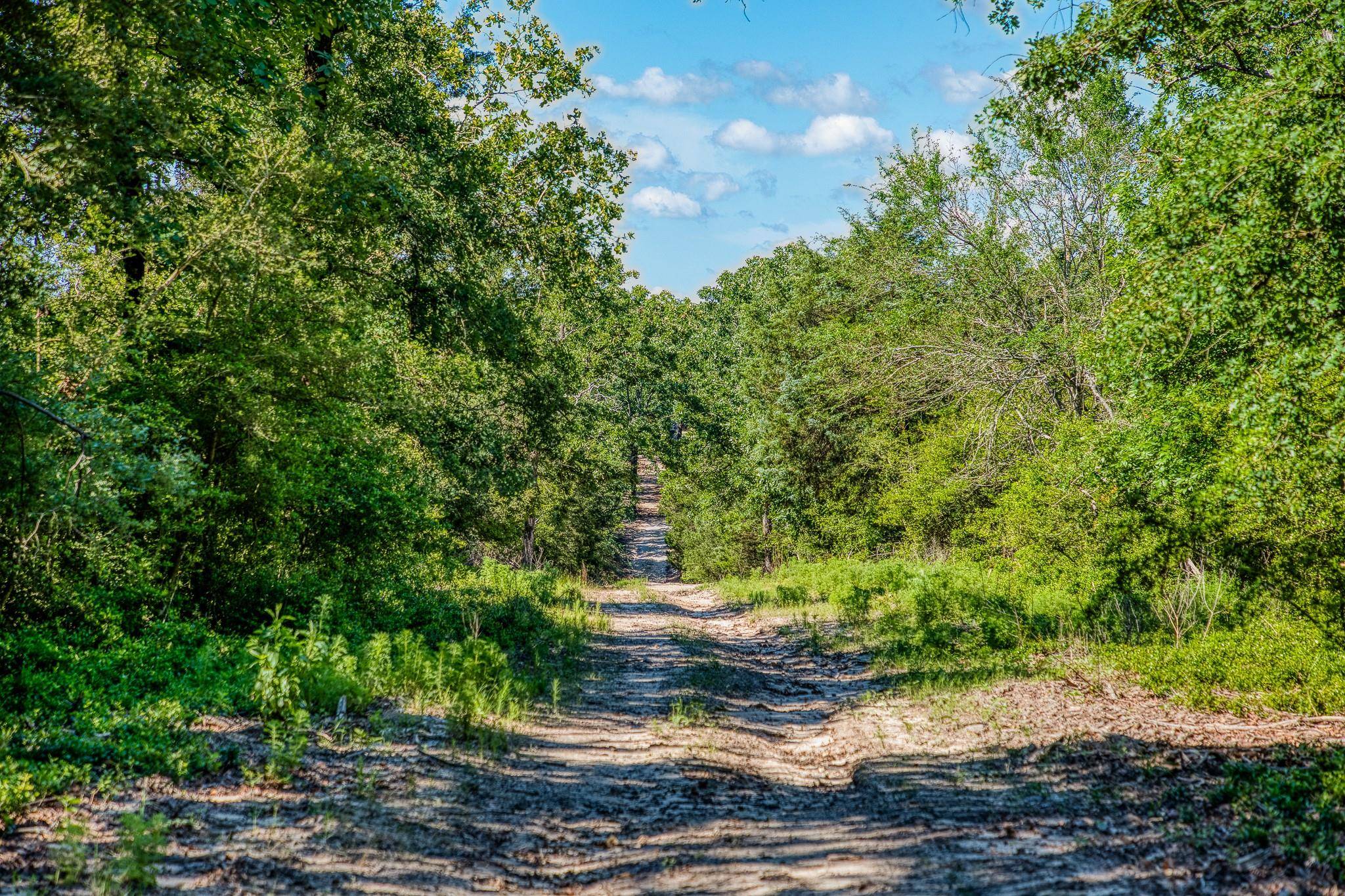 Groesbeck, TX 76642,511 LCR 793