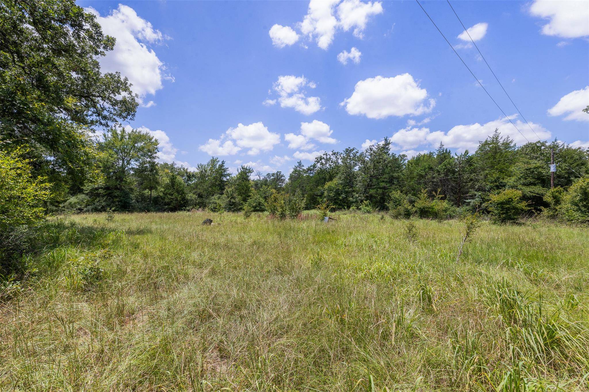 Caldwell, TX 77836,TBD (LOT 13) Cedar Creek RD