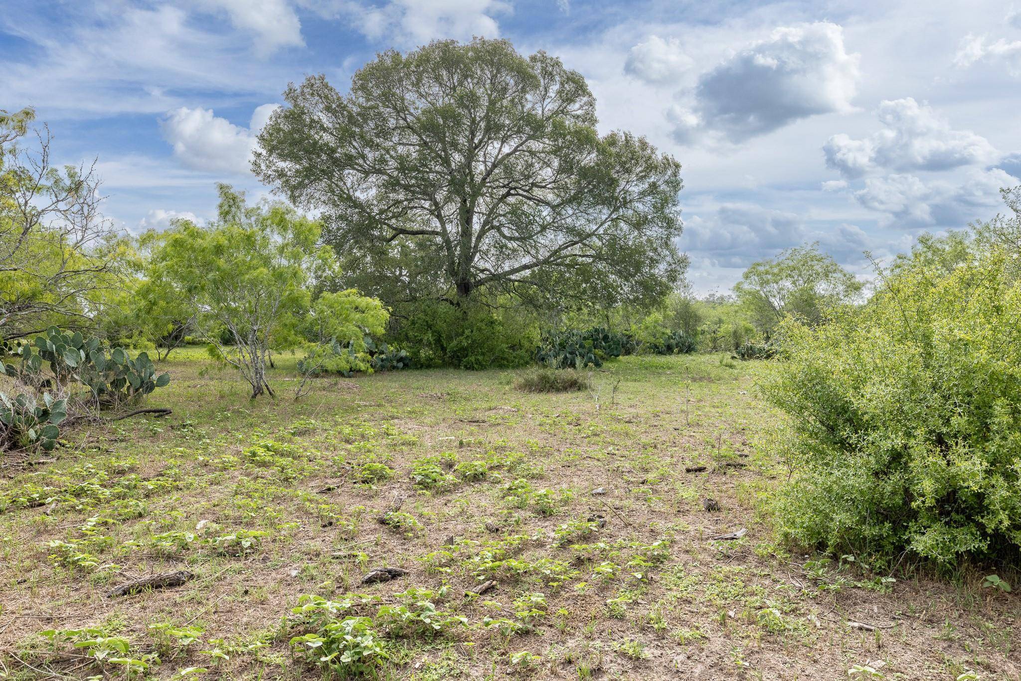 Gonzales, TX 78629,5063 State Hwy. 97 E