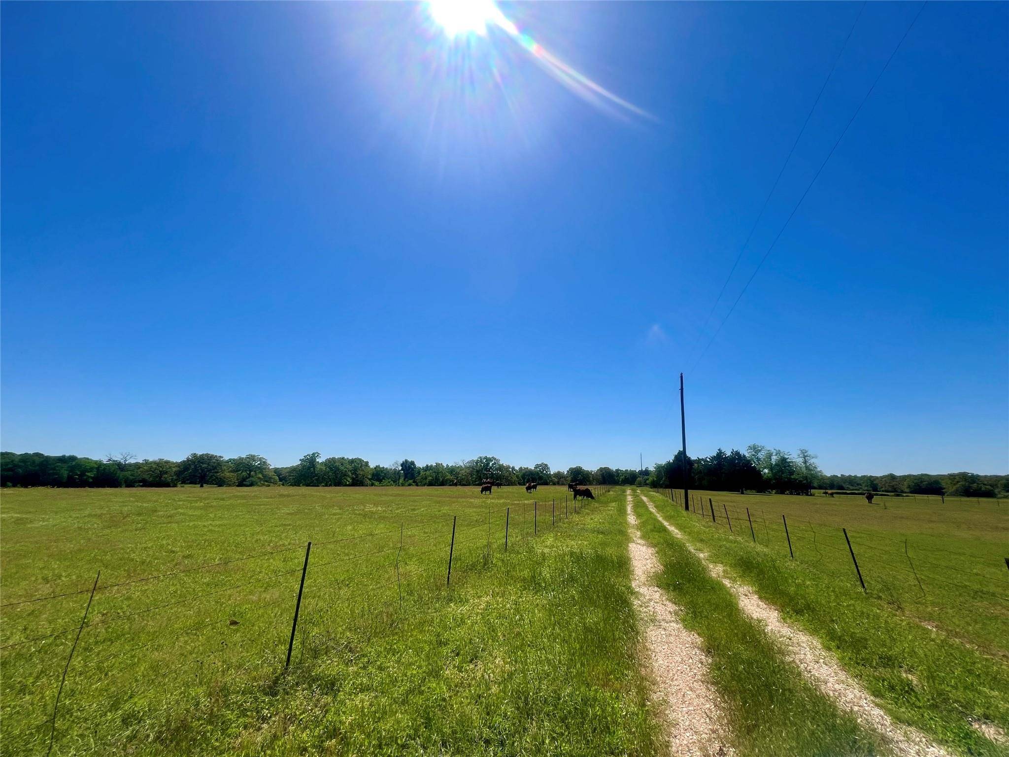 Lexington, TX 78947,2542 County Road 306