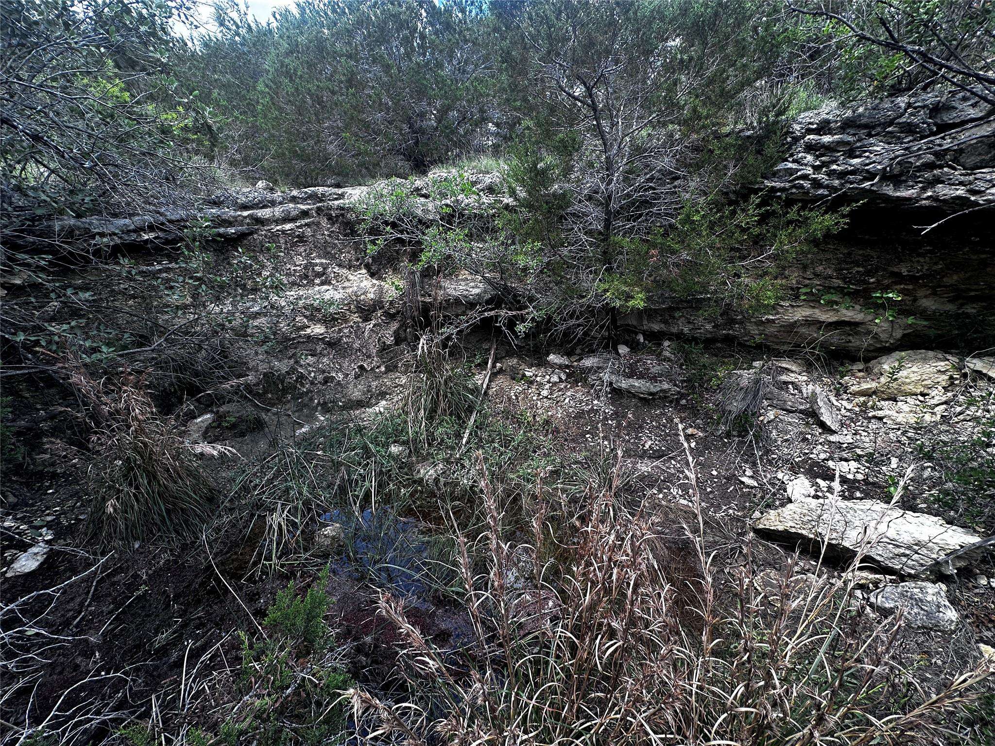 Spicewood, TX 78669,21114 Bertram LN