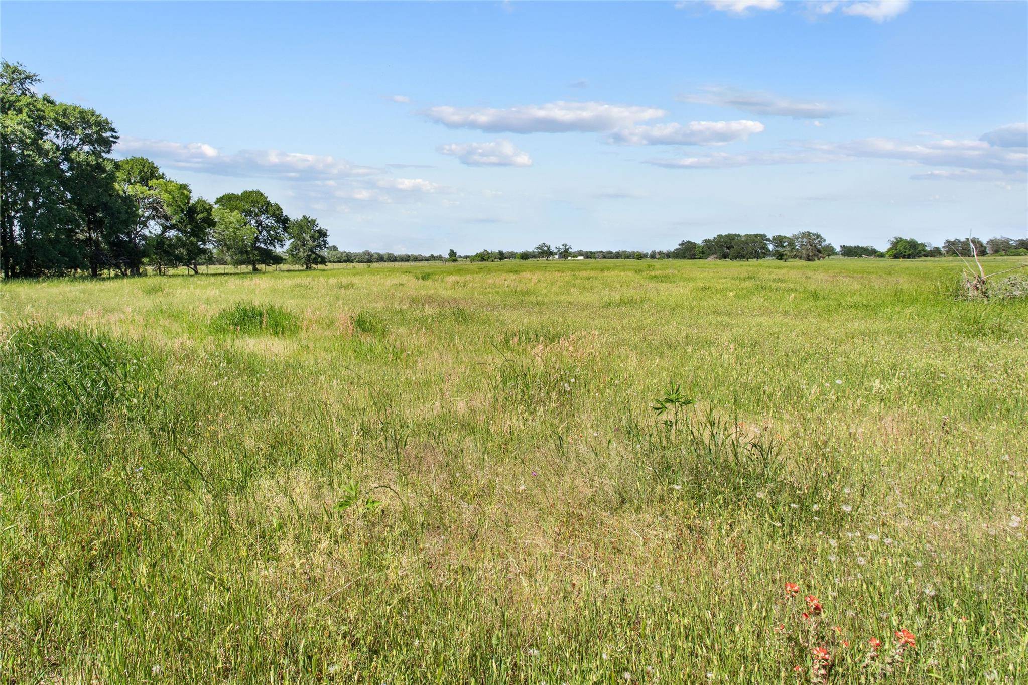 Giddings, TX 78942,TBD (Tract 1) FM 2239