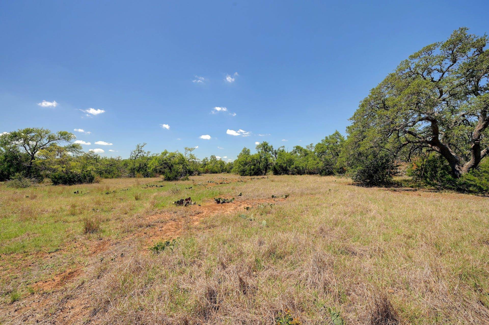 Dripping Springs, TX 78620,TBD Martin RD