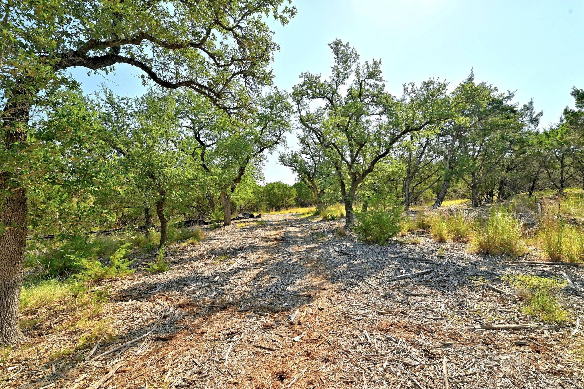 Driftwood, TX 78619,170 Night Wrangler LN