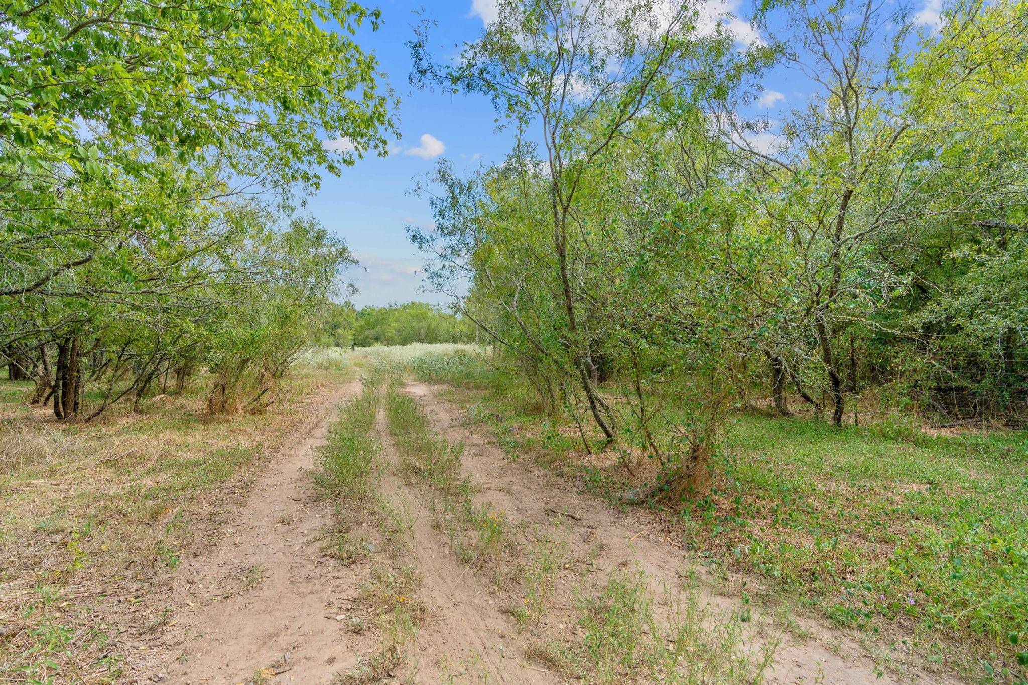 Dale, TX 78616,TBD Chamberlin RD