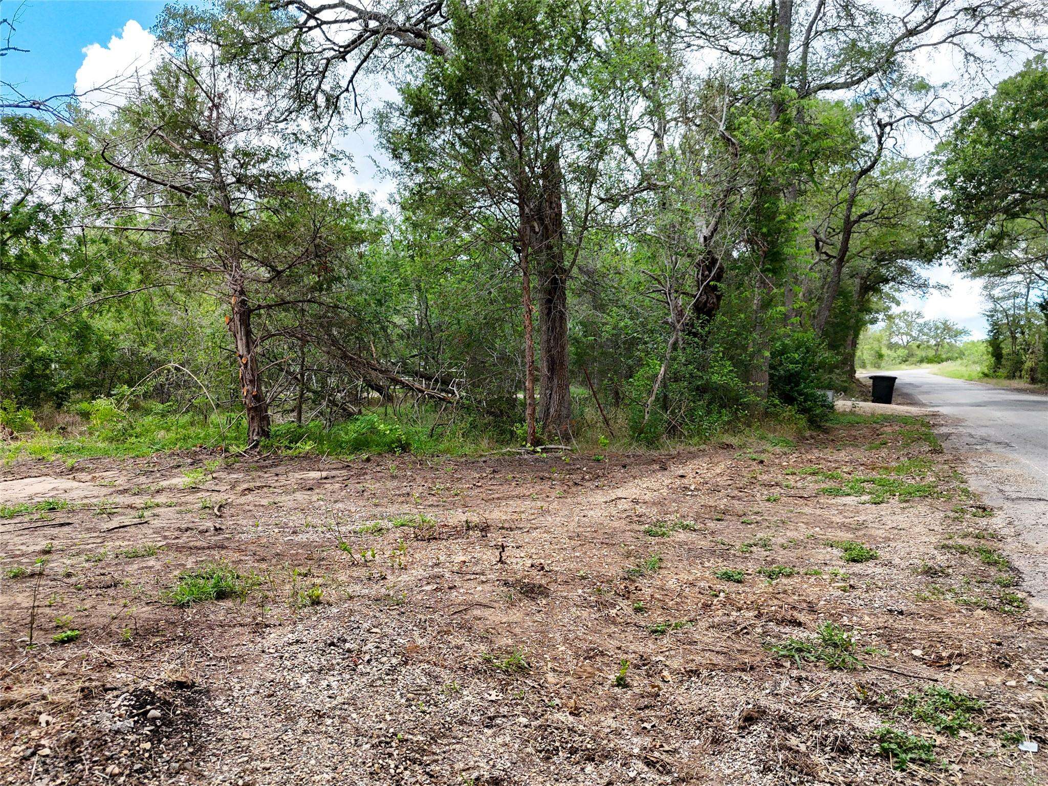 Dale, TX 78616,TBD Chamberlin RD