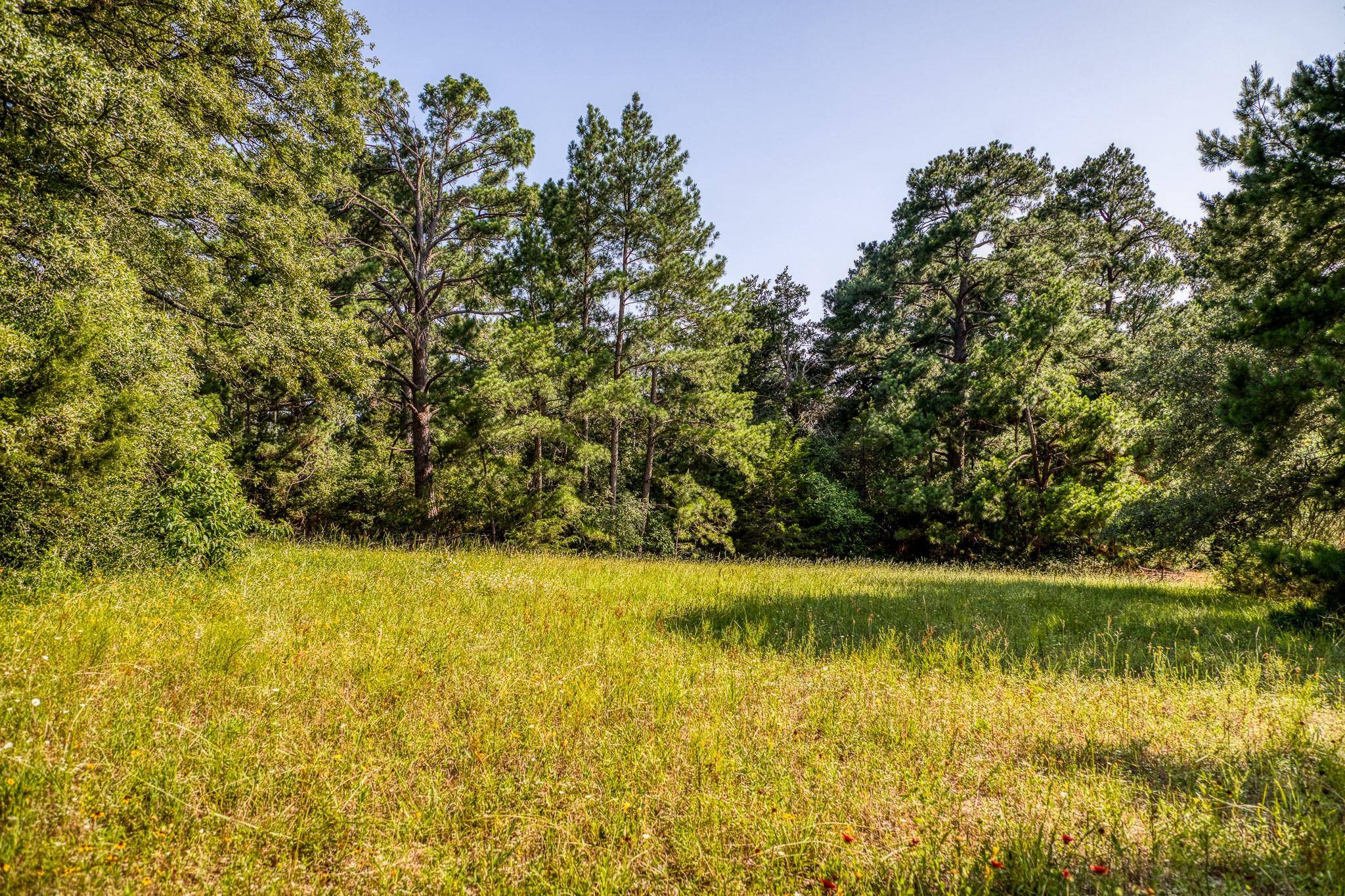 Paige, TX 78659,TBD (15.682 Acres) Stockade Ranch RD