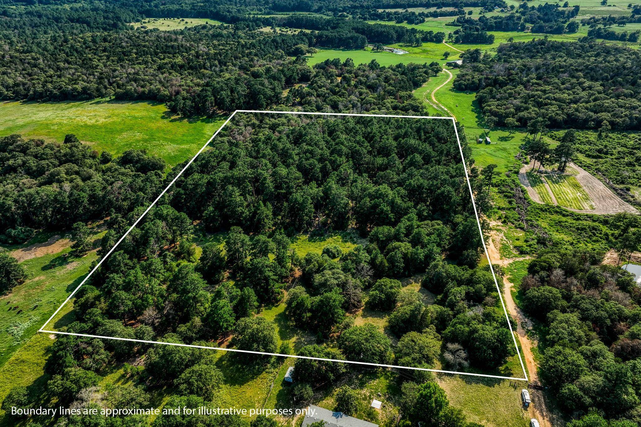 Paige, TX 78659,TBD (15.682 Acres) Stockade Ranch RD