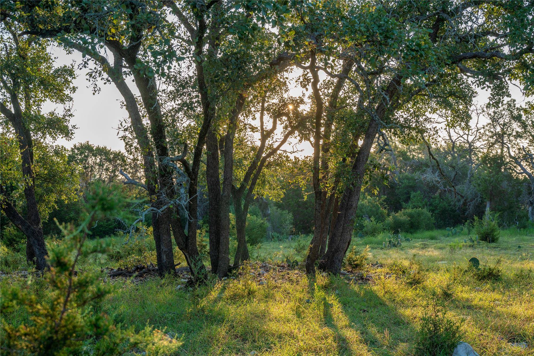 Marble Falls, TX 78681,TBD Mormon Mill Road