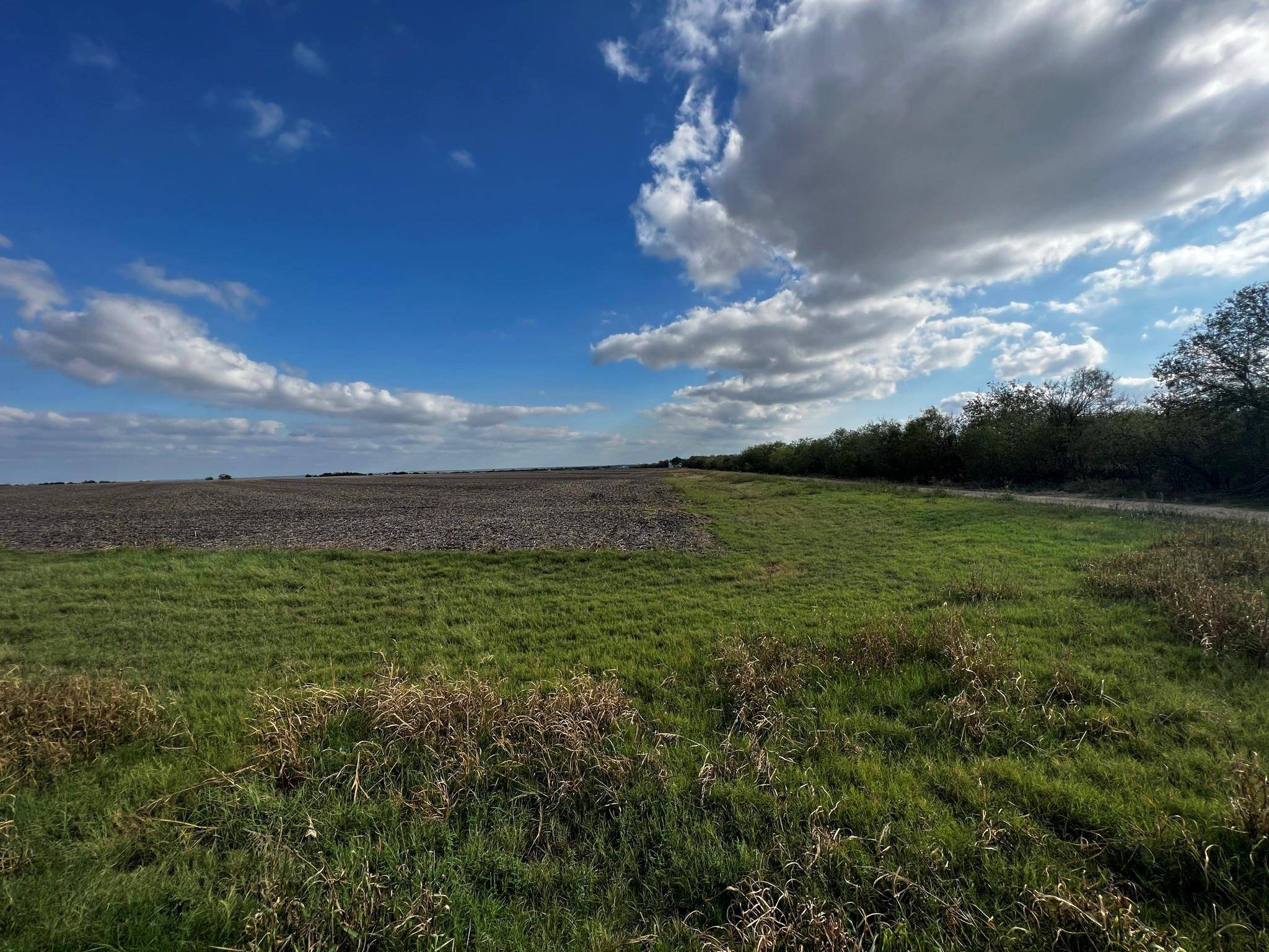 Thorndale, TX 76577,1438 County Road 438