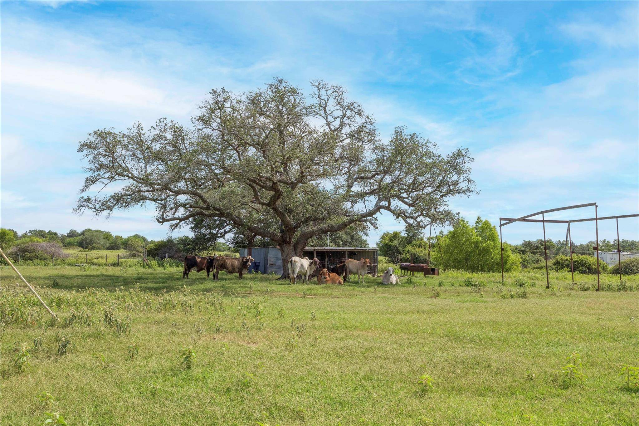 Hallettsville, TX 77964,02 CR 214