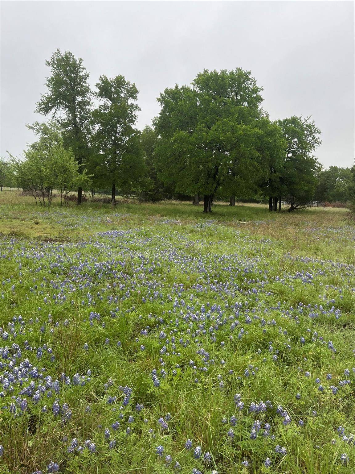 Salado, TX 76571,TBD Cheyenne PASS