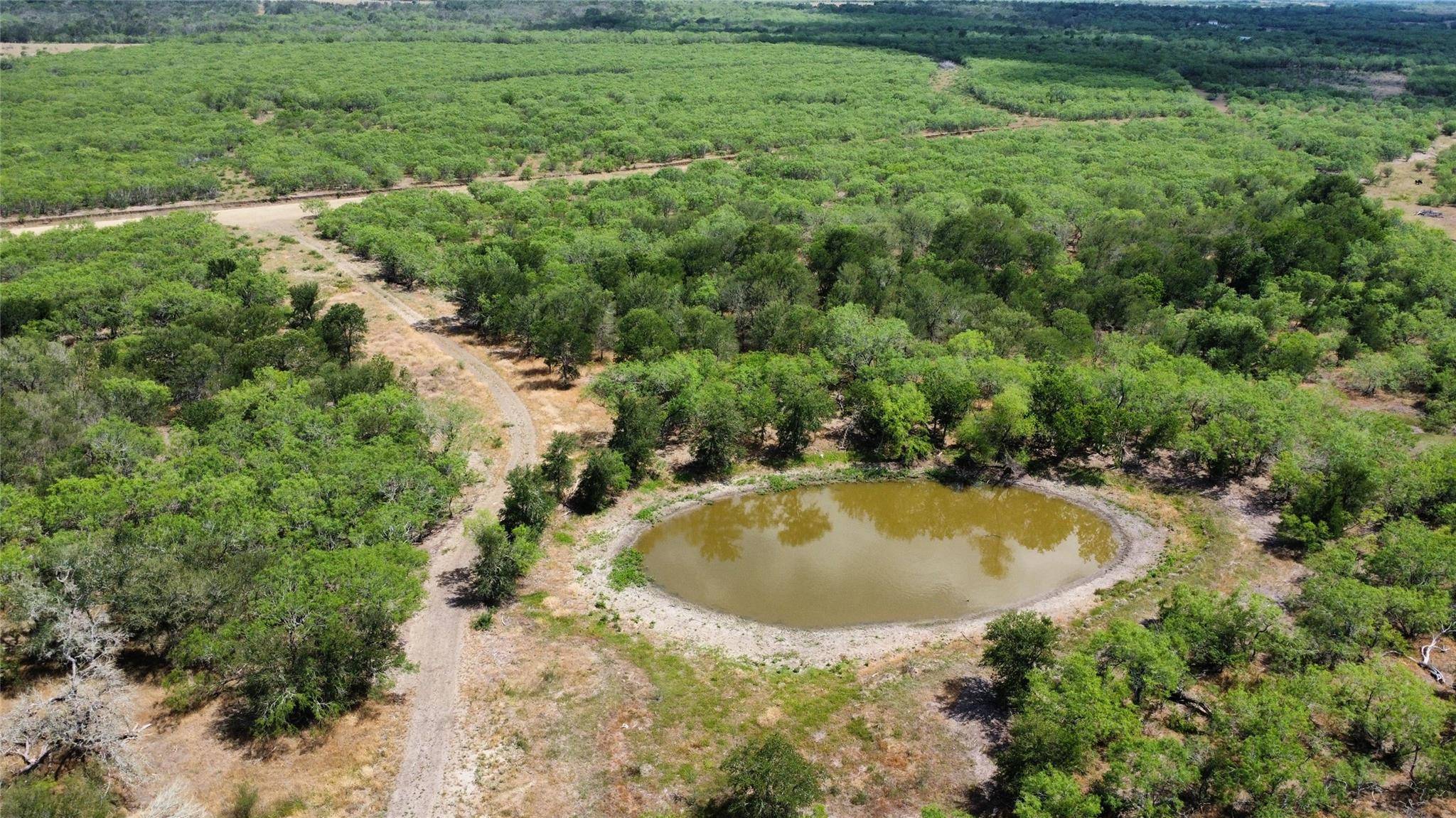 Lockhart, TX 78644,TBD Lively Stone Rd