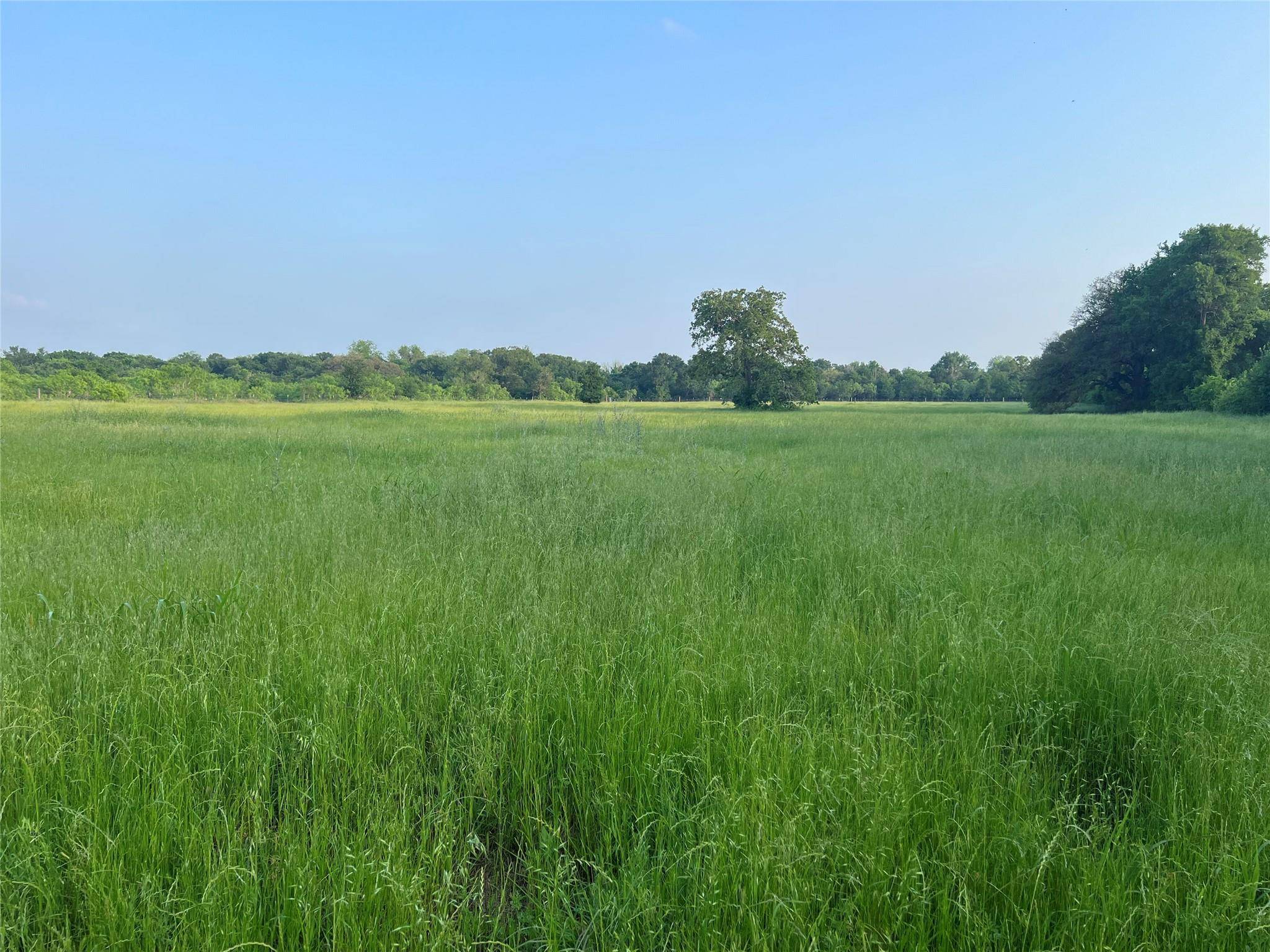 Dale, TX 78616,0 Sandhill DR
