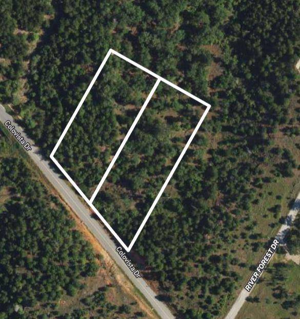 Bastrop, TX 78602,TBD - Lots 2 & 3 Colovista DR