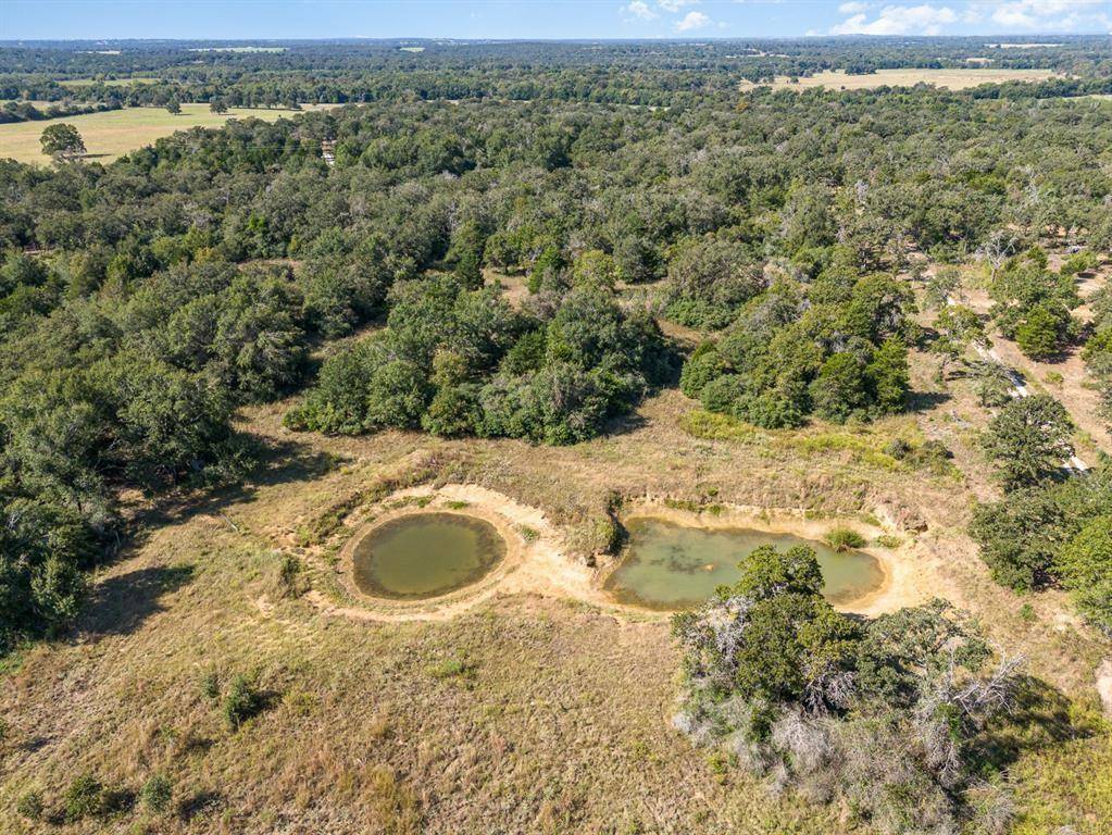 Rockdale, TX 76567,10229 County Road 302