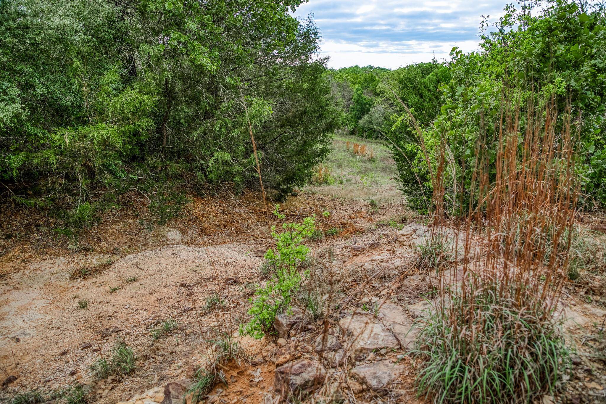 Ledbetter, TX 78946,TBD (56.135 Acres) County Road 125