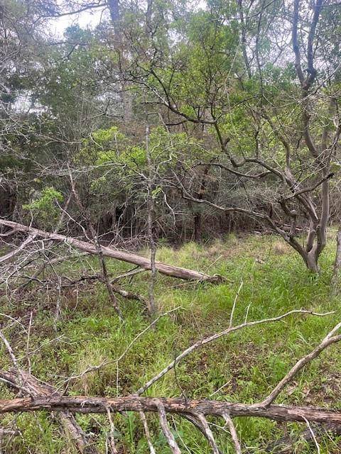 Bastrop, TX 78602,Lot 628 Hilea CT