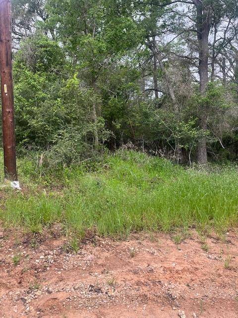 Bastrop, TX 78602,Lot 628 Hilea CT