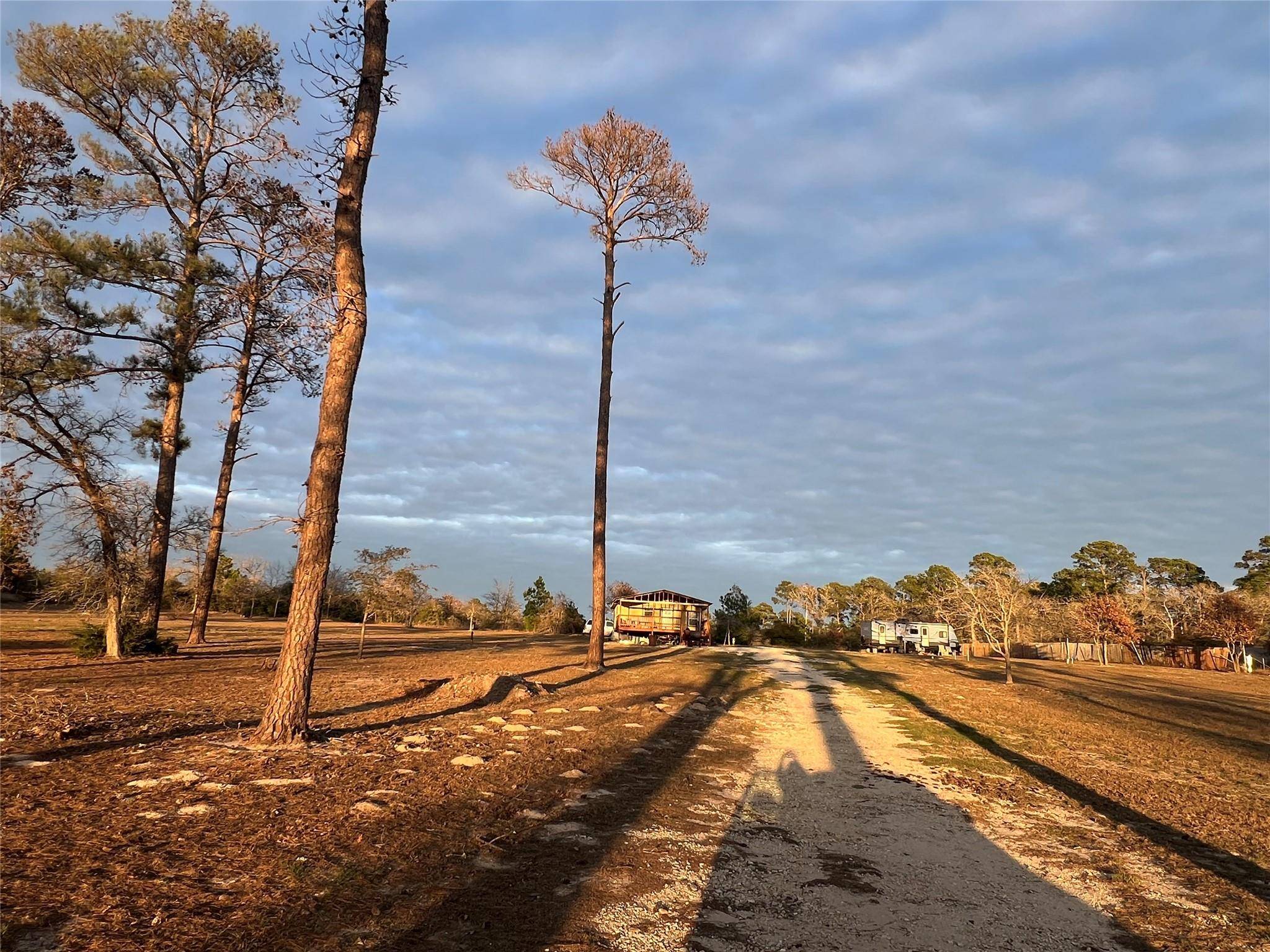Bastrop, TX 78602,562 Pine Tree LOOP #B
