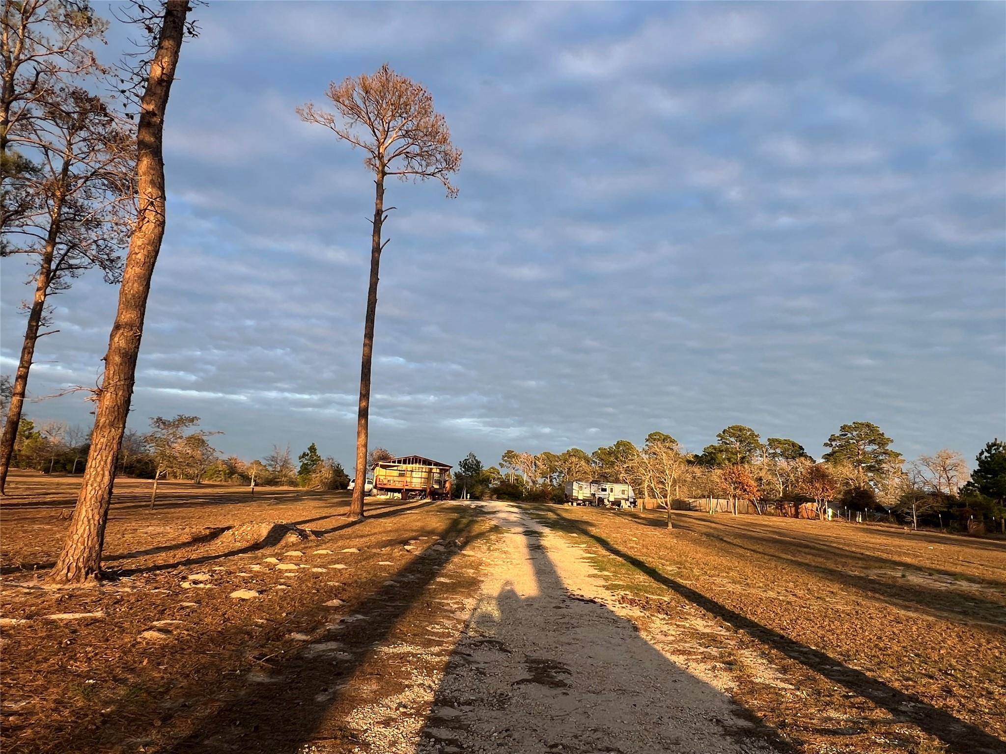 Bastrop, TX 78602,562 Pine Tree LOOP #B