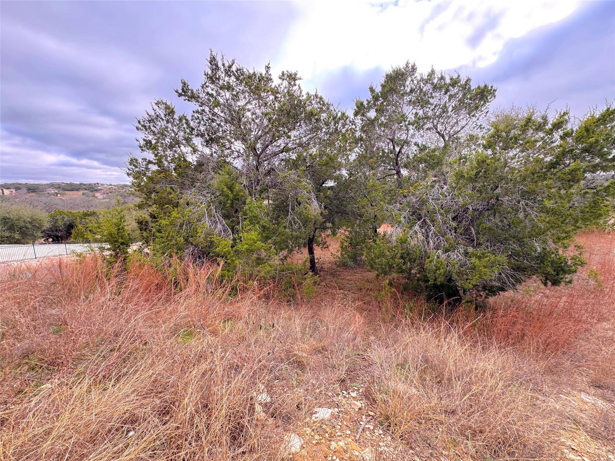 Canyon Lake, TX 78133,130 Double Tree LN