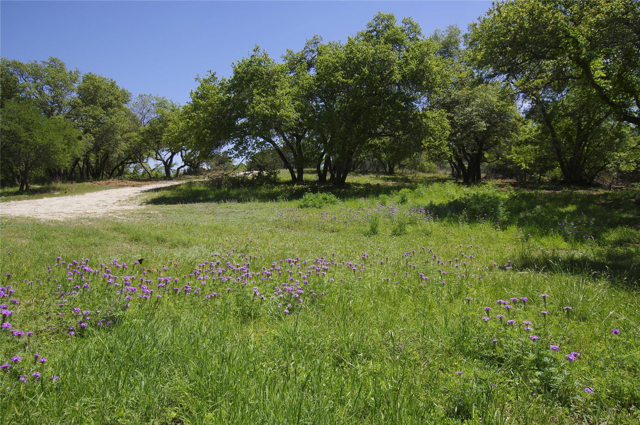 Leander, TX 78641,22007 Nameless RD