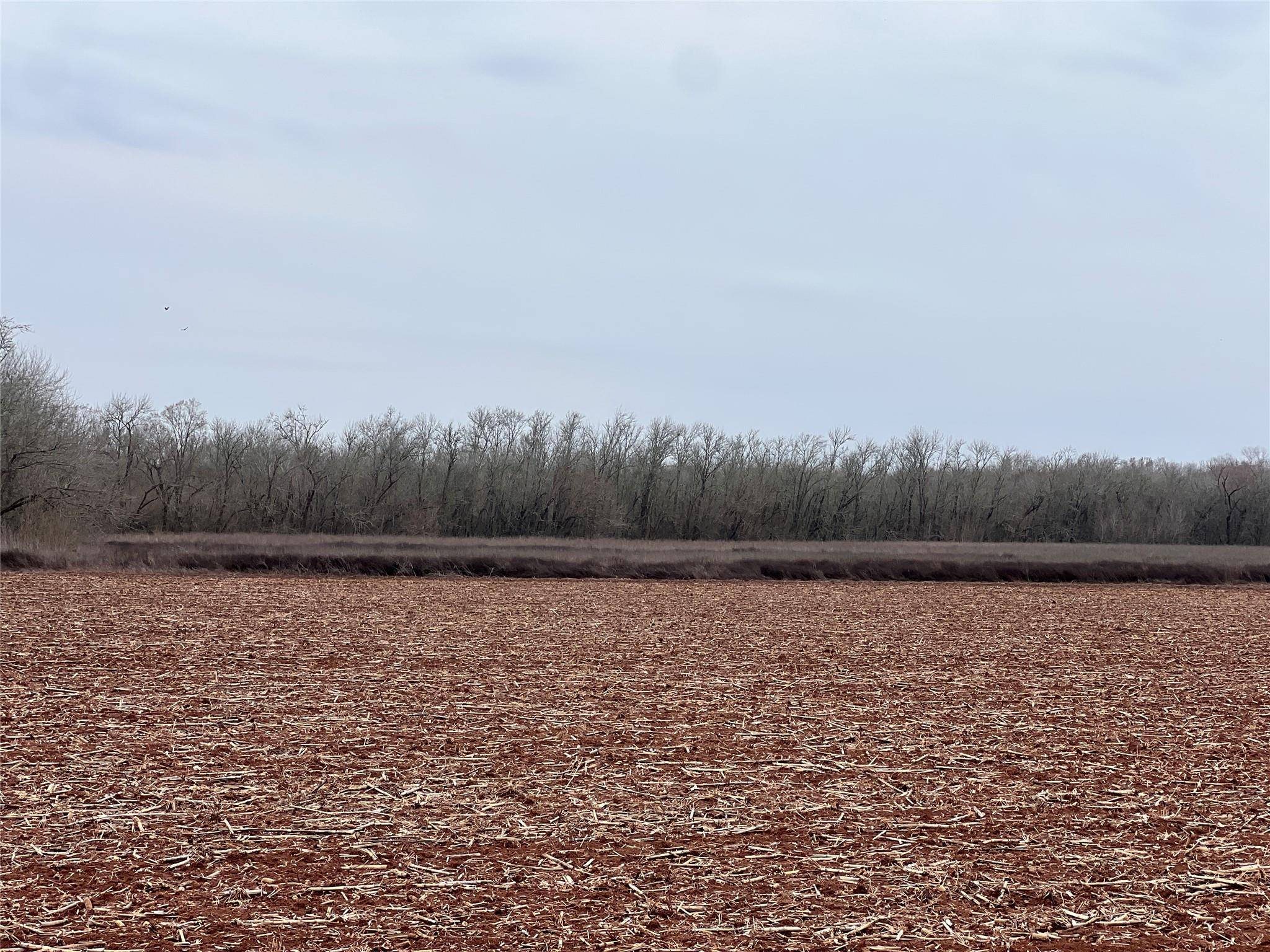 Caldwell, TX 77836,TBD County Road 227