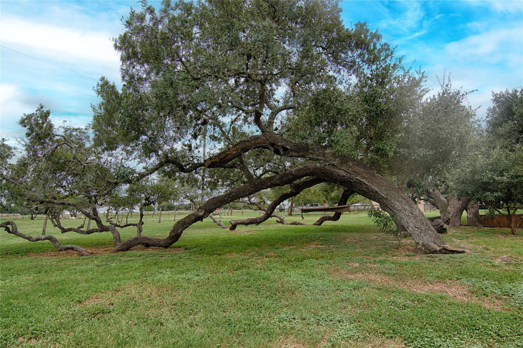 Hallettsville, TX 77964,341 CR 233