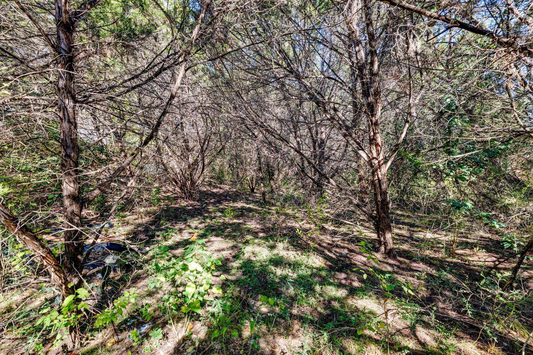 Austin, TX 78734,15104 S Flamingo DR