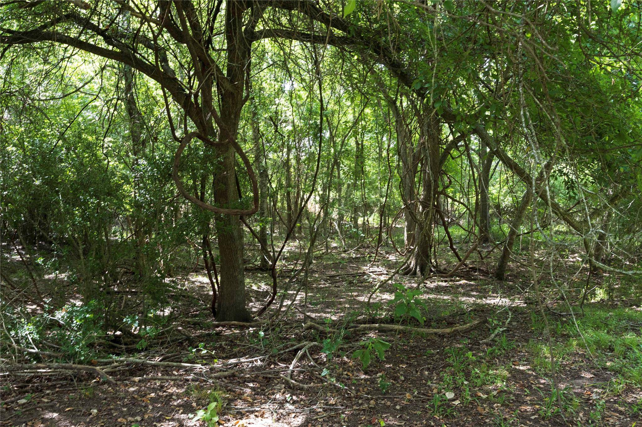 Hallettsville, TX 77964,05 CR 212