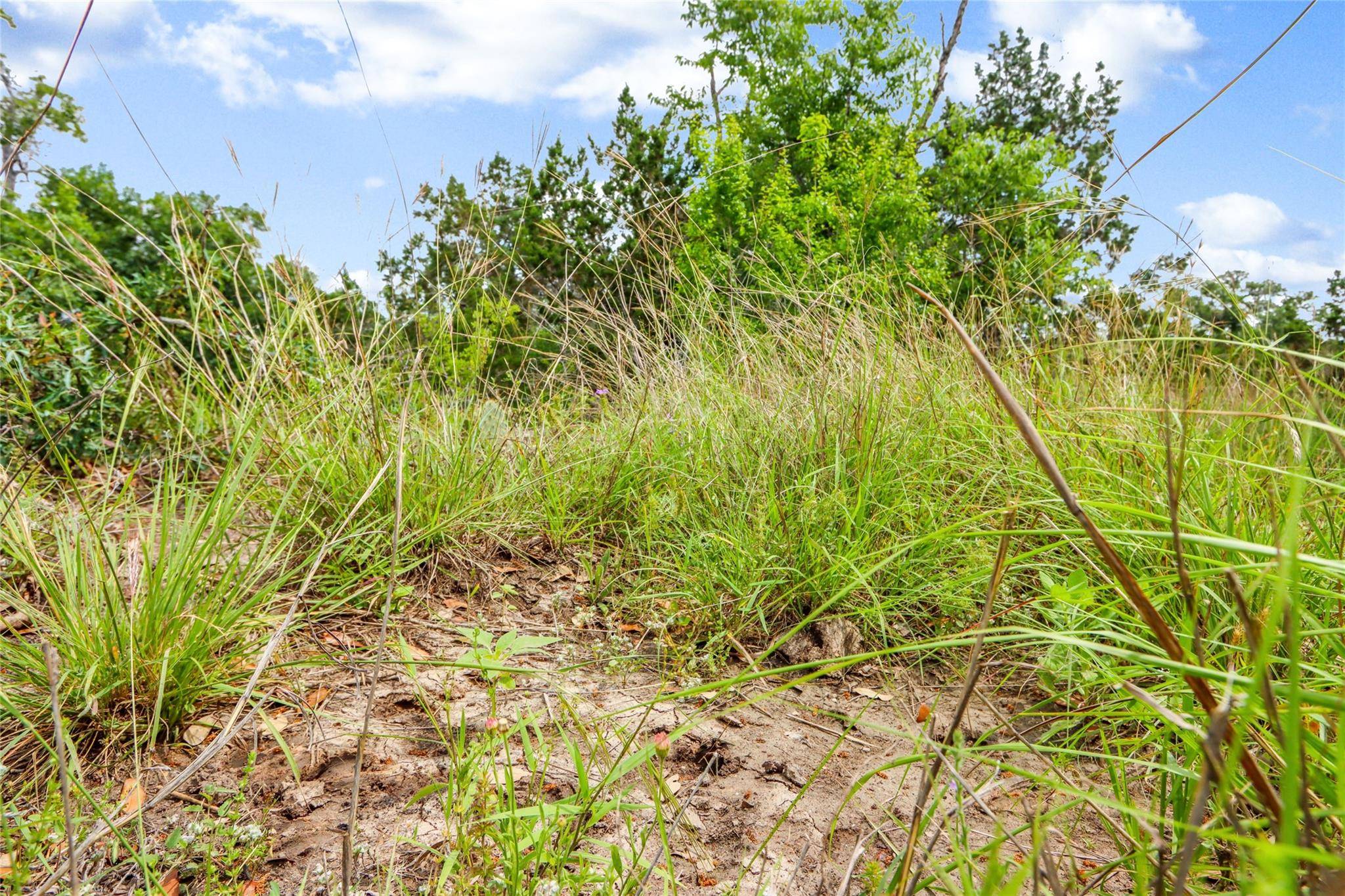 Boerne, TX 78006,Lot 19 Early Bird LN