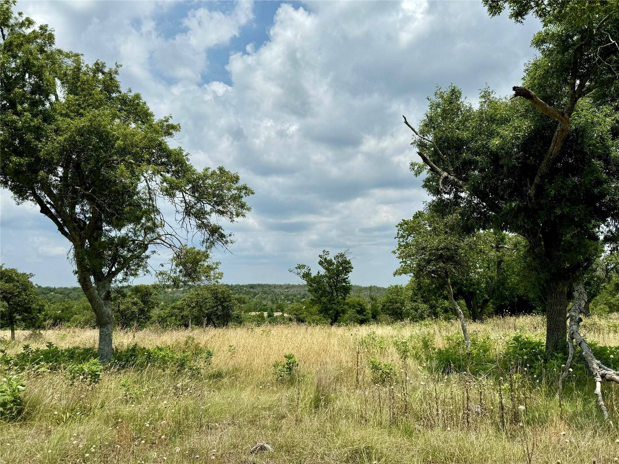 Fredericksburg, TX 78624,LOT 25 Ridgeline RD