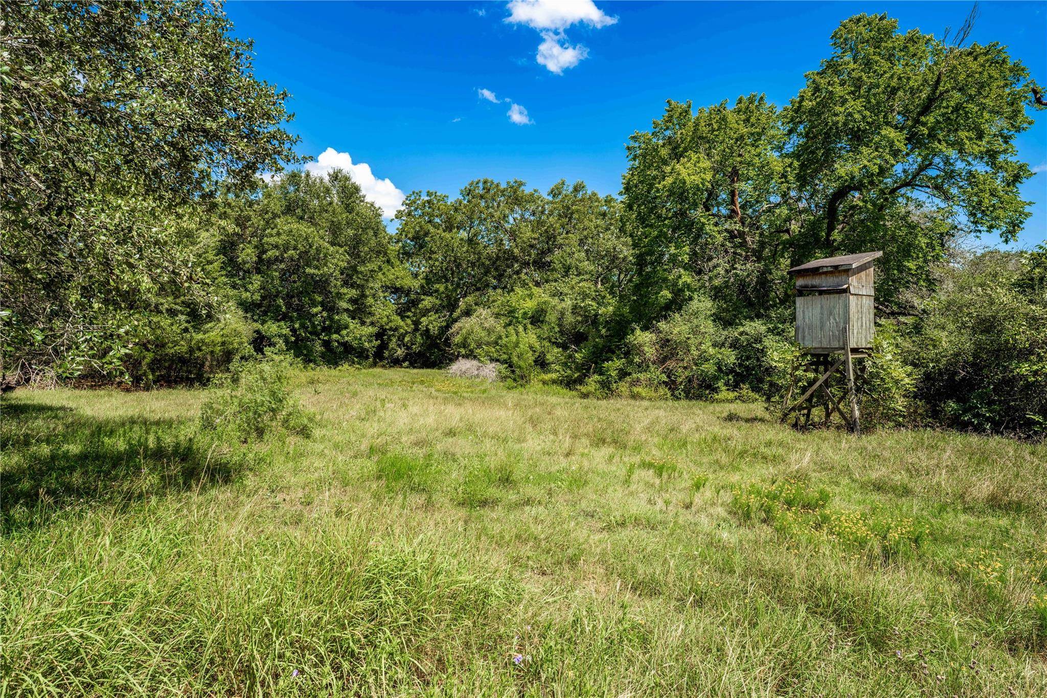 Weimar, TX 78962,TBD CR 253