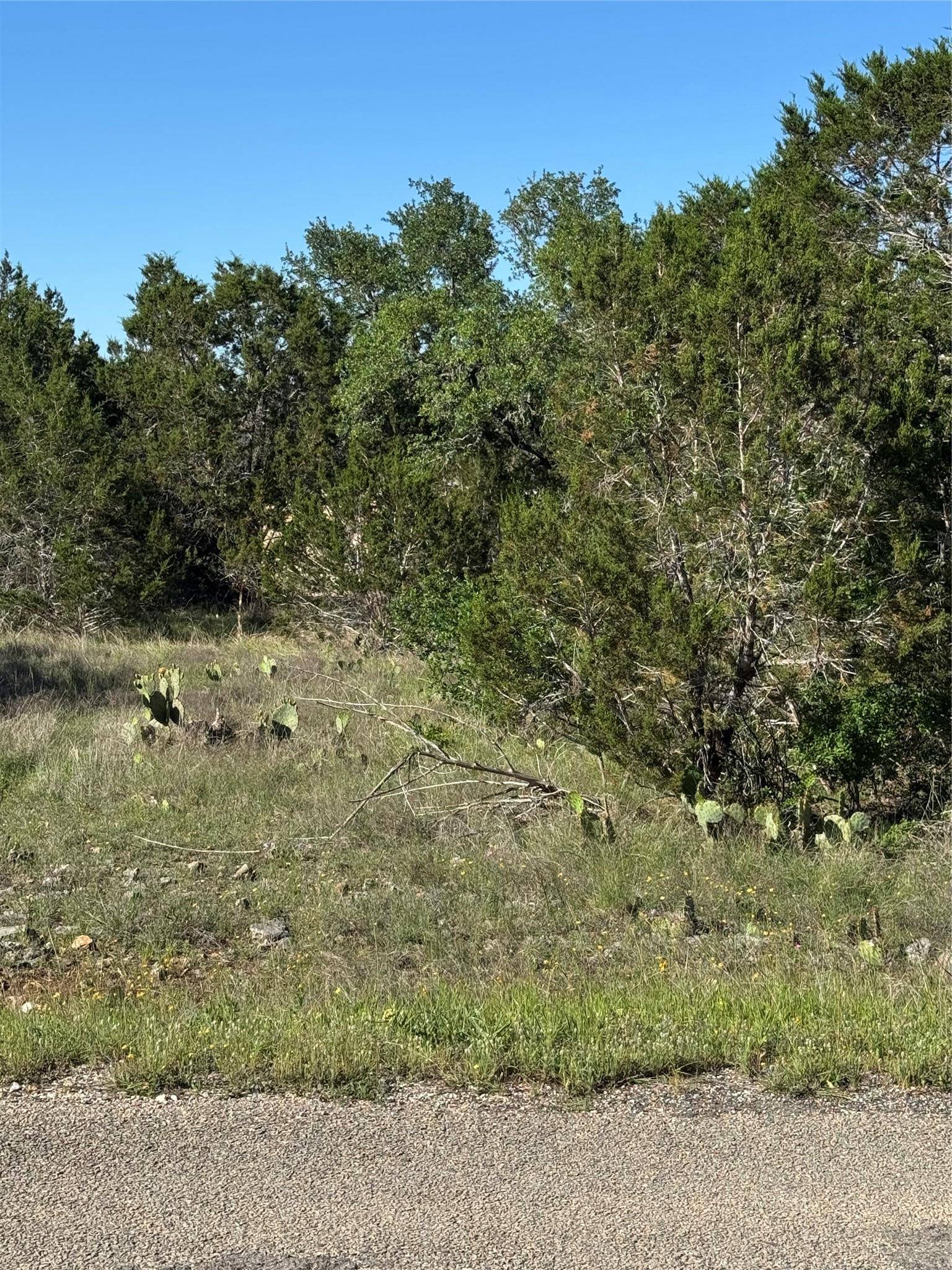 San Marcos, TX 78666,1408 Oakwood LOOP