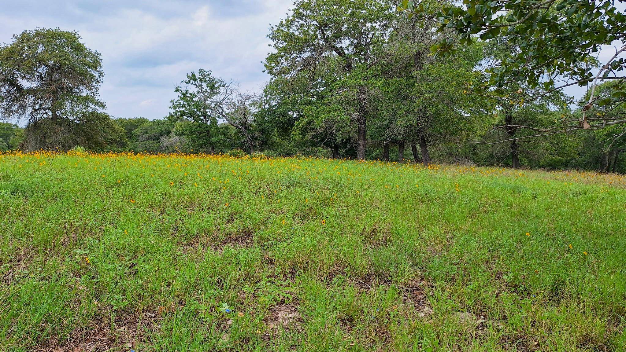 Luling, TX 78648,Lot 222 Flash CIR