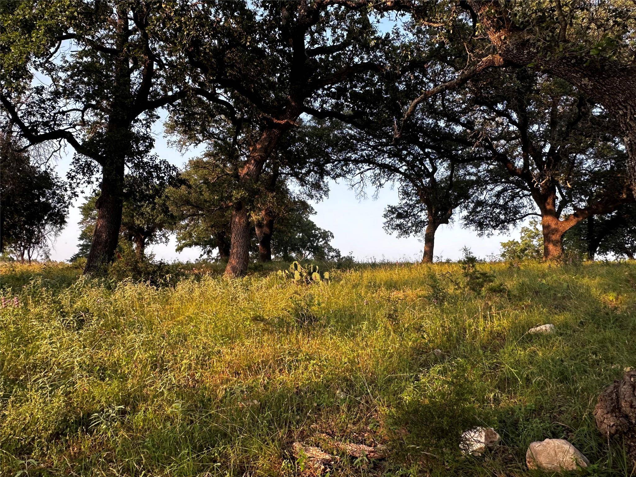 San Saba, TX 76877,389 Rocky Hollow RD