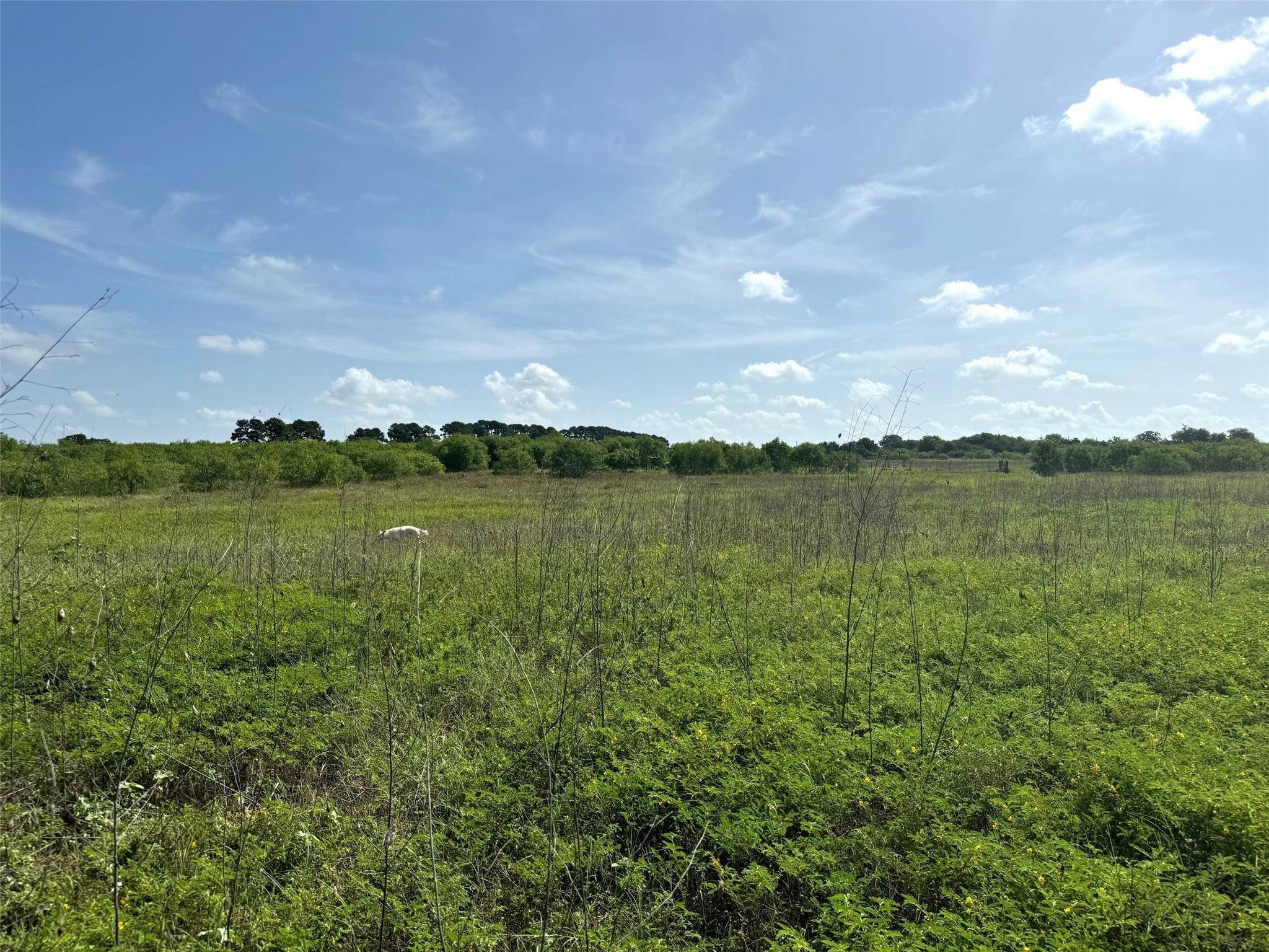 Lockhart, TX 78644,000 FM 713
