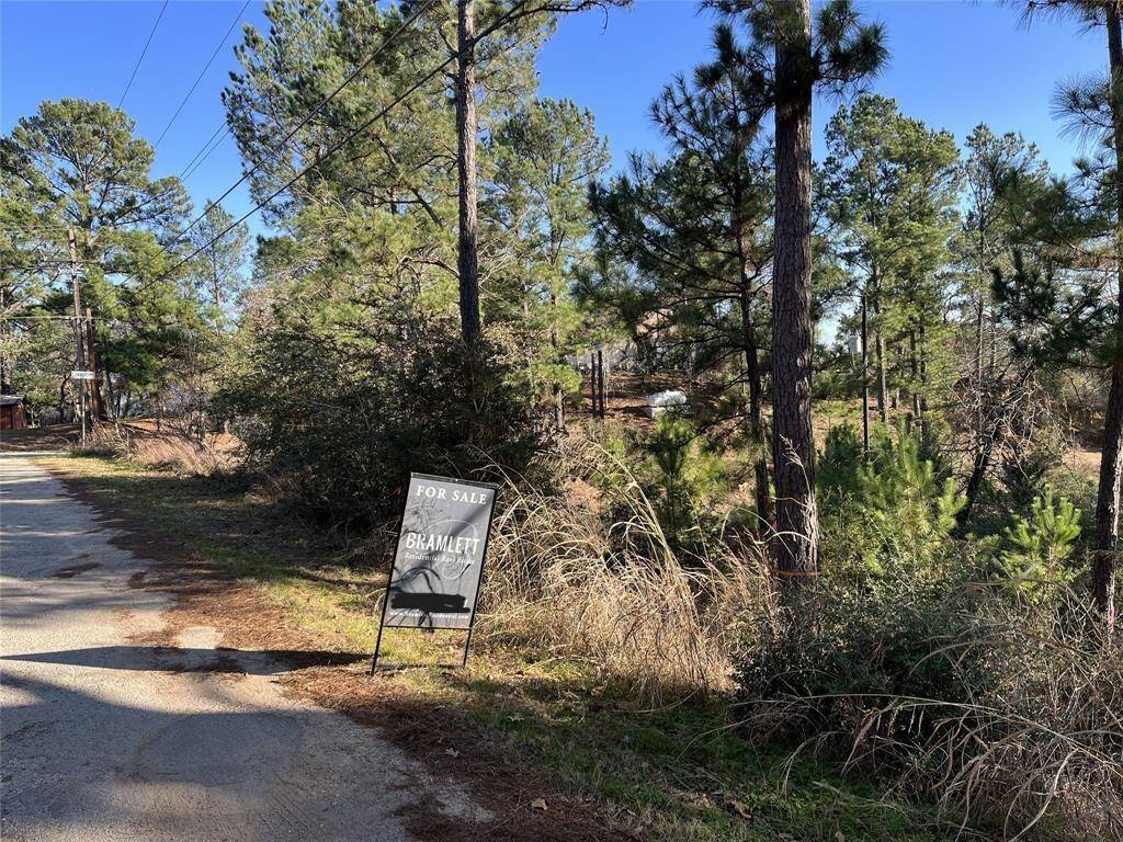 Bastrop, TX 78602,TBD Wahane